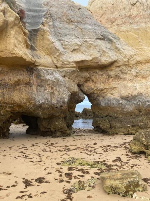 Casa Petit Paraiso Lagoa  Dış mekan fotoğraf